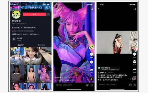 网红的爆料视频大全集在线观看,揭秘网络热点背后的真相